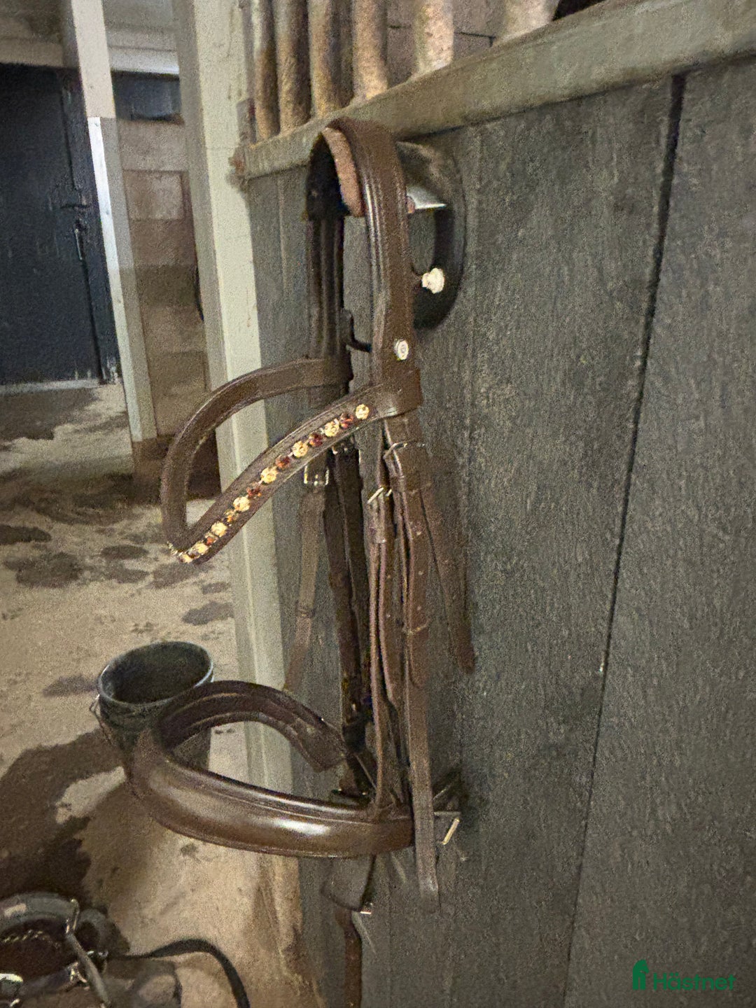 Träns hästutrustning till salu: Kandar Otto Schumacher i Gränna - Annons 3