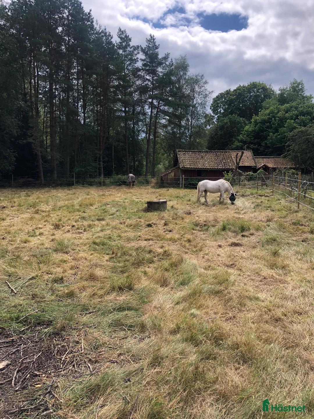  stallplats finnes: Stallplats uthyres till Islandshäst / ponny  i Mölnlycke - Annons 8