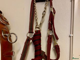 Övrig Hästutrustning hästutrustning till salu: Grimma och grimskaft med kedja i Jönköping - Annons 14