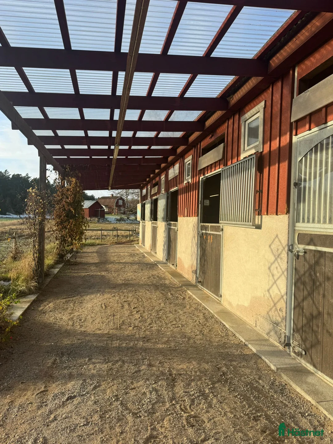  hästservice finnes: Lösdrift med fullservice för avelssto - Annons 1