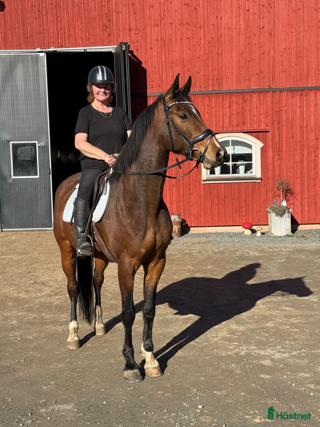 Galleribild {{count}}