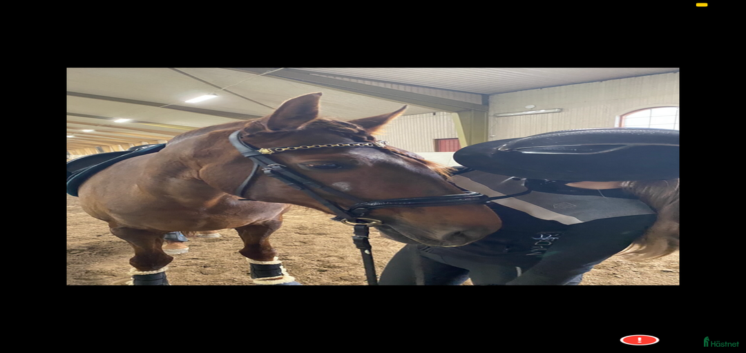 Galleribild {{count}}