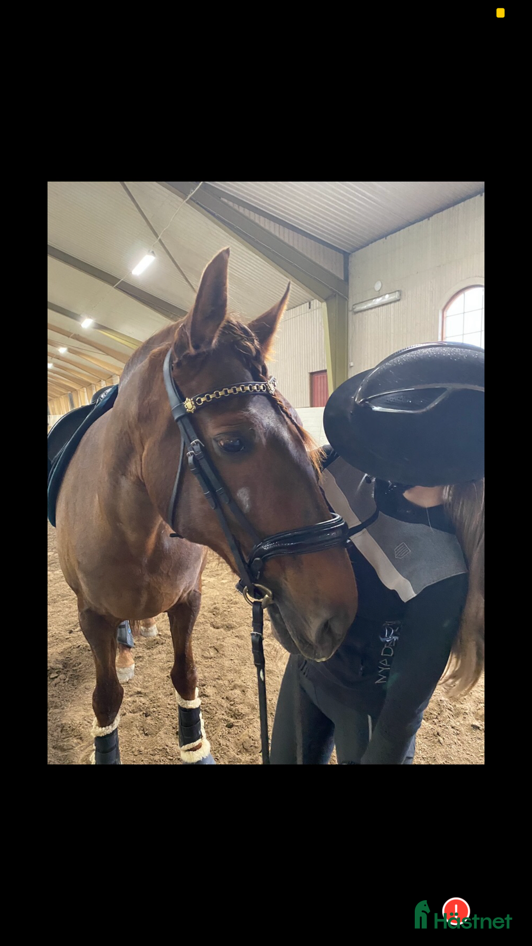 Galleribild {{count}}