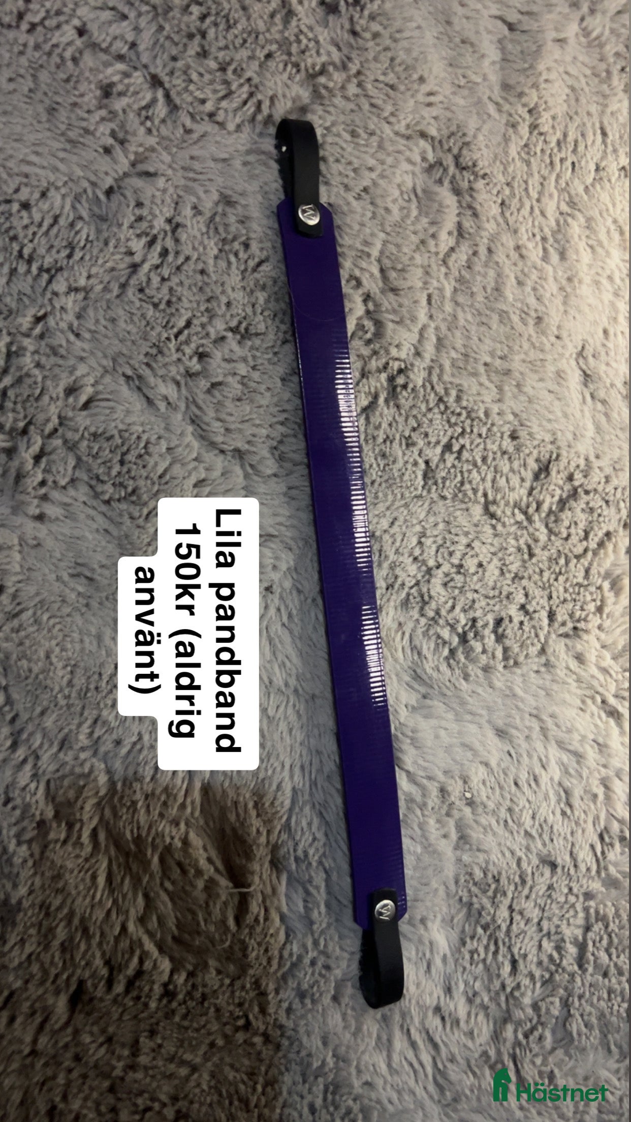 Övrig Hästutrustning hästutrustning till salu: 2 olika pandband (ett blått & ett lila) i Eldsberga - Annons 2