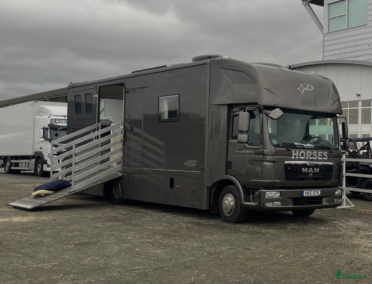 Hästlastbilar  fordon & transport till salu: Smidig hästlastbil 3-4 hästar - Annons 2