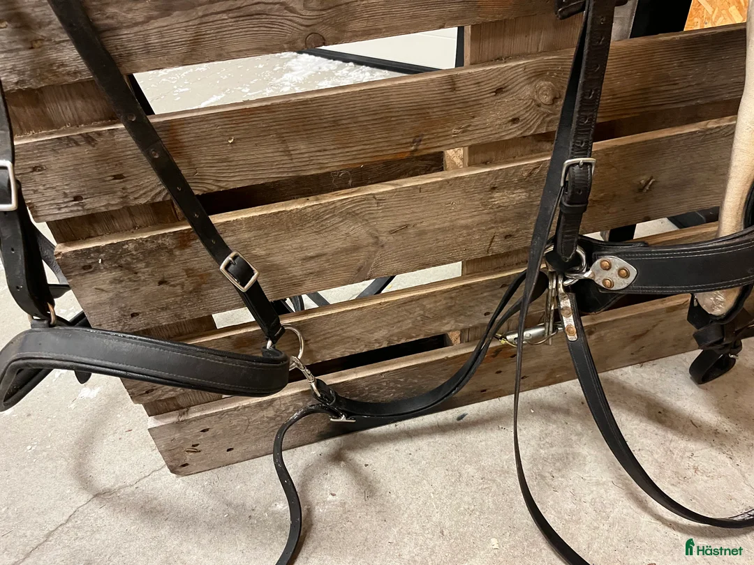 Körselar körning till salu: Komplett loksele  i Funäsdalen - Annons 9