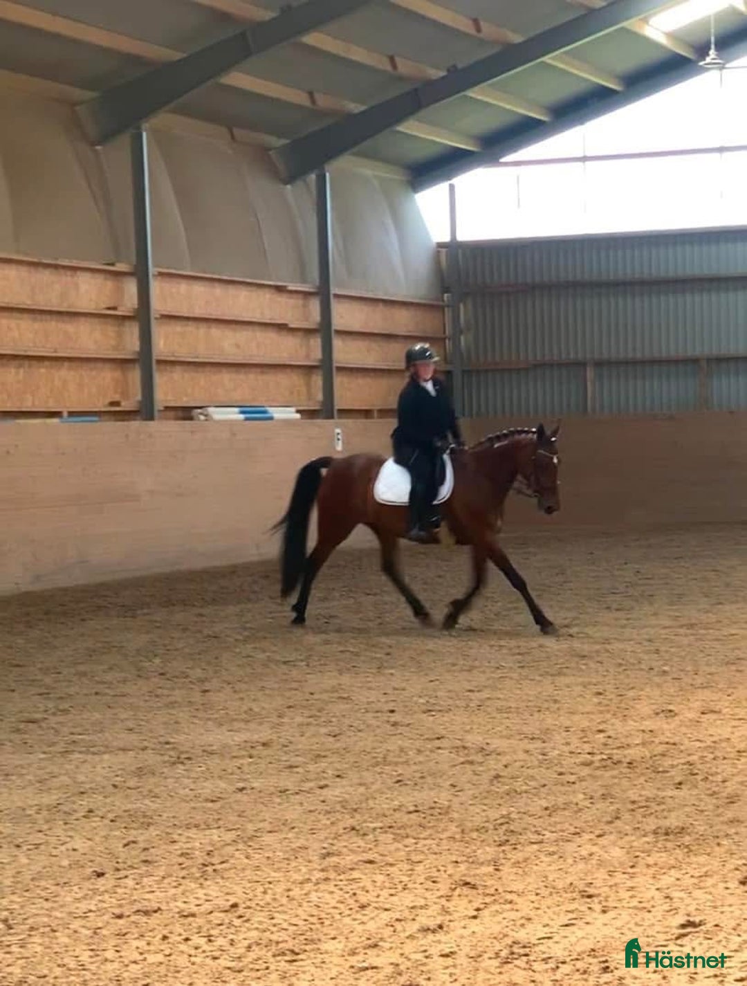  medryttarhäst finnes: Två medryttare sökes i Örkelljunga  i Örkelljunga - Annons 10