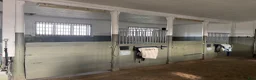  stallplats finnes: Tvärdala/Västra Husby - Annons 2
