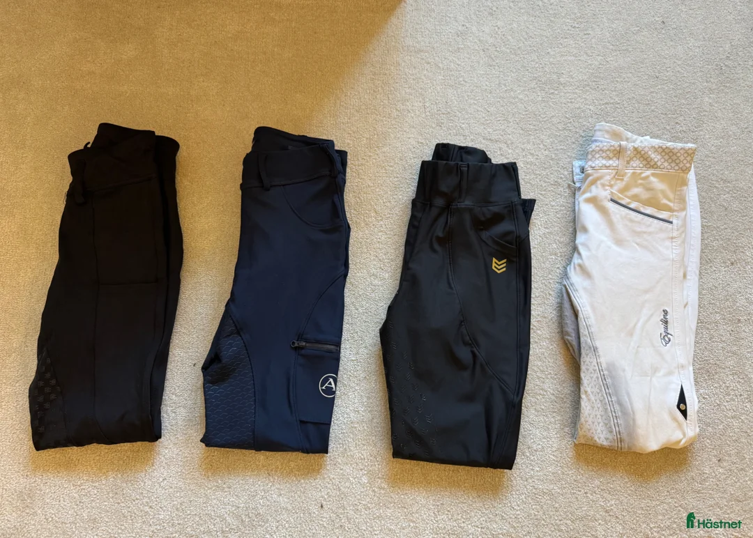 Ridbyxor ryttarutrustning till salu: Ridbyxor storlek XS - Annons 1