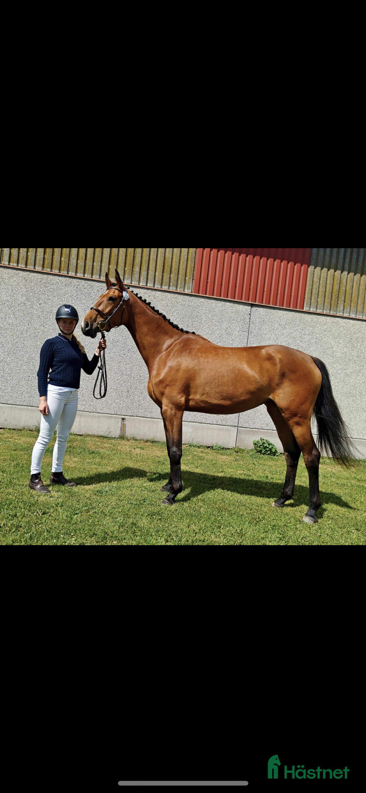  hästar Uttrycksfullt Sto  i Dösjebro - Annons 1