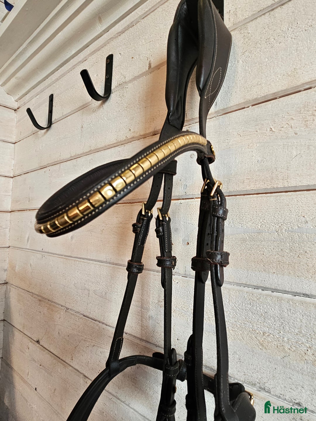 Träns hästutrustning till salu: Ps träns antwerpen i Hackås - Annons 4