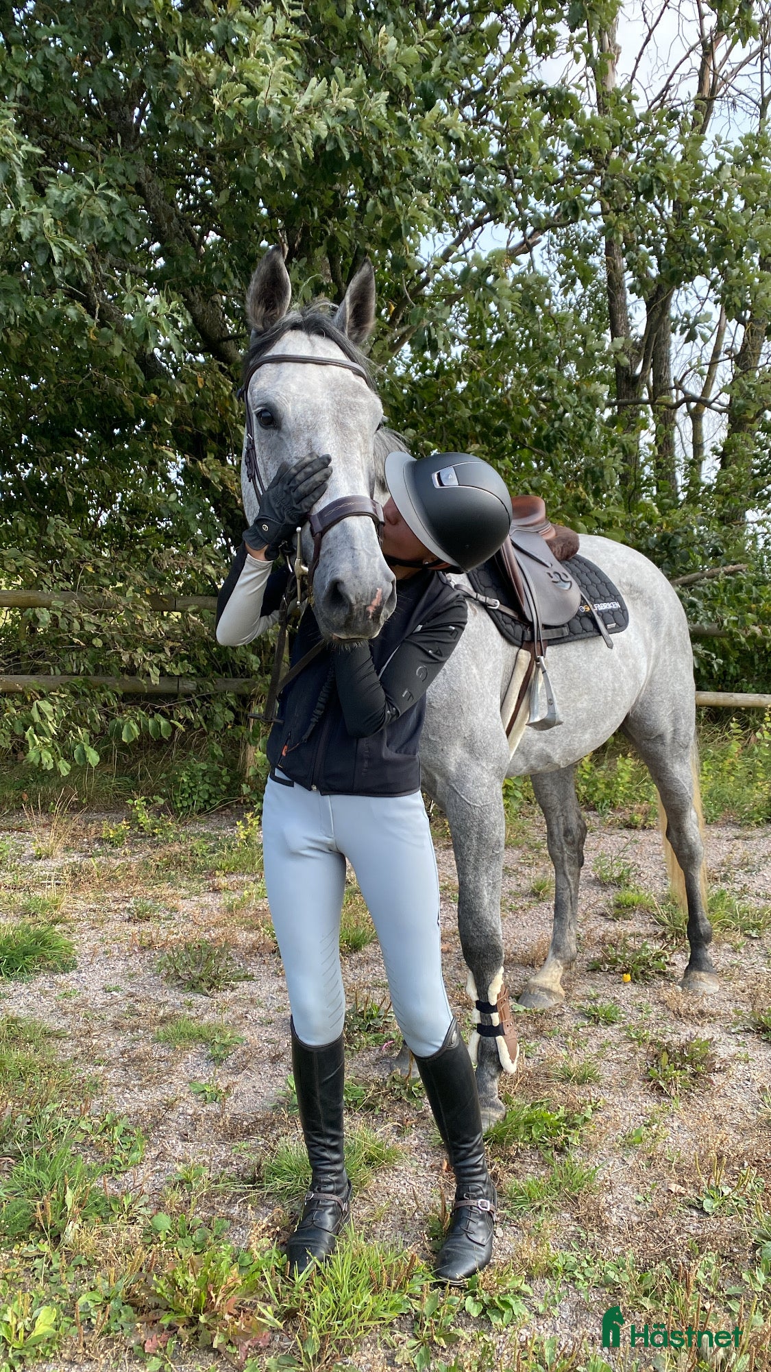  hästjobb Tillridning/försäljning av ponny/häst  - Annons 16