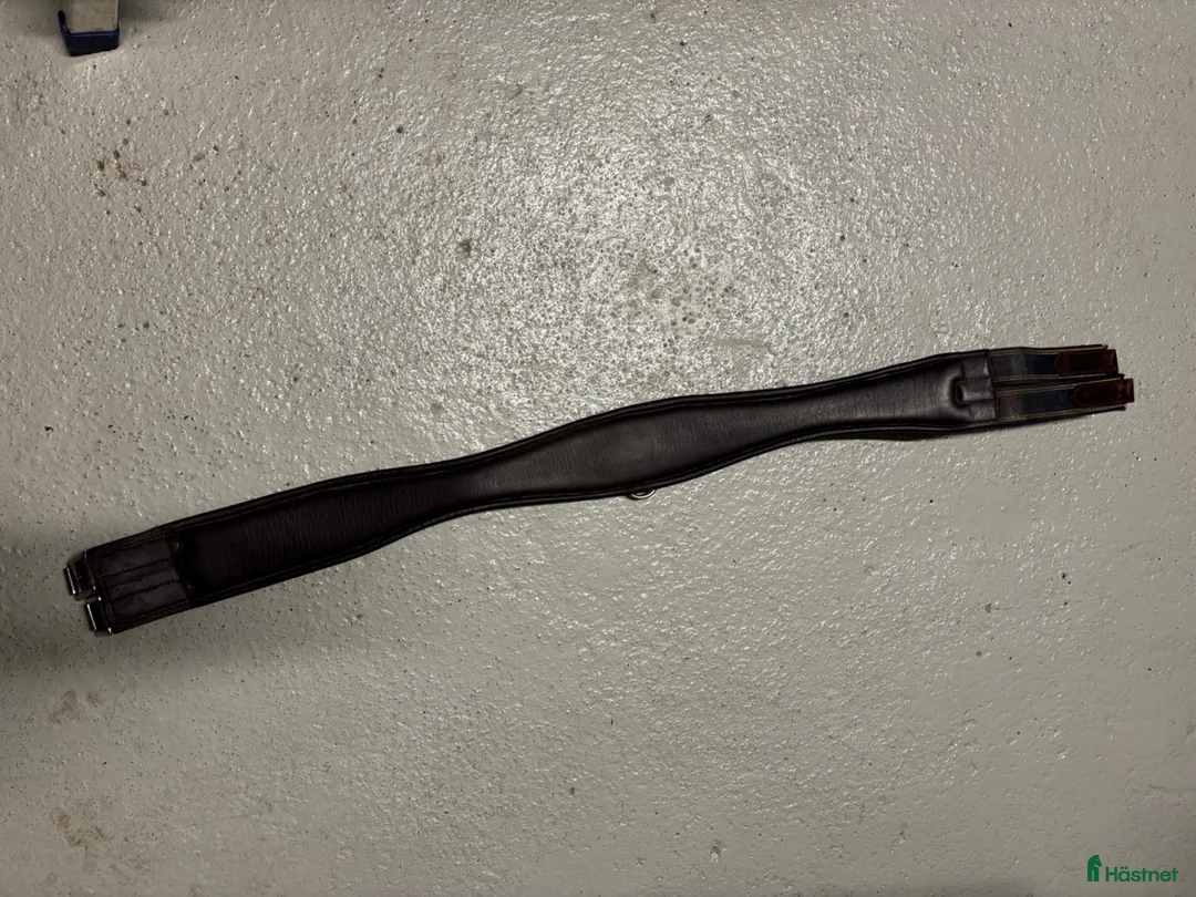 Sadeltillbehör hästutrustning till salu: Fin sadelgjord - Annons 2