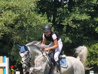 hästar Super fin allround häst i Västerås - Annons 3