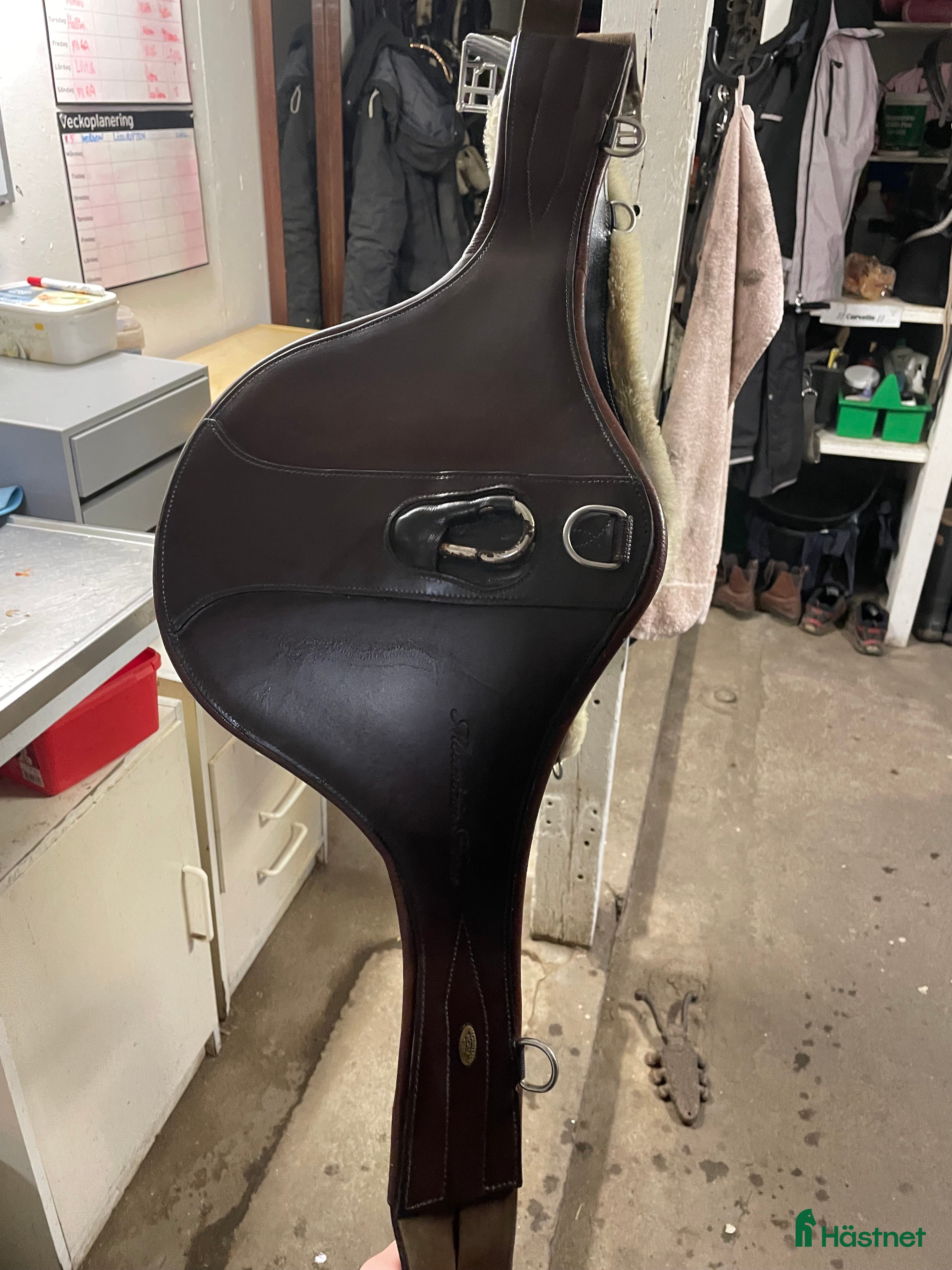 Sadeltillbehör hästutrustning Brun magplatta i Frillesås - Annons 17