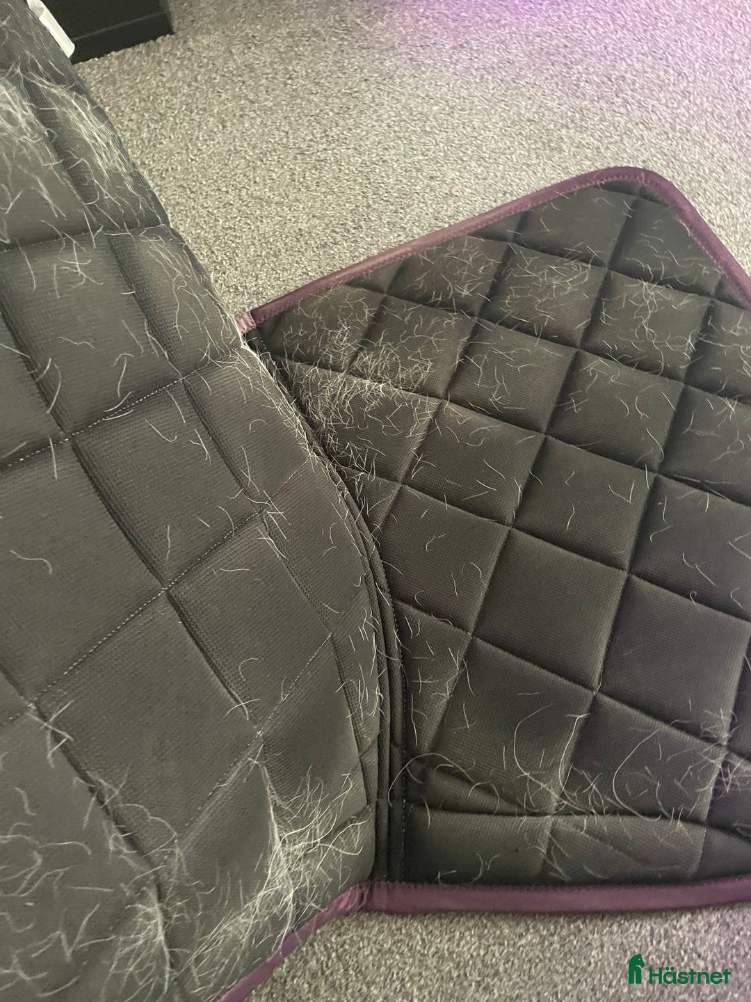 Schabrak & Vojlockar hästutrustning till salu: Ps schabrak i fint skick i Södertälje - Annons 3