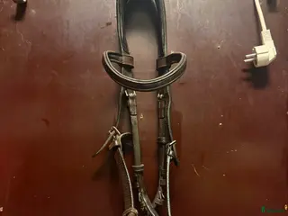 Träns hästutrustning Ps of sweden träns - Annons 9