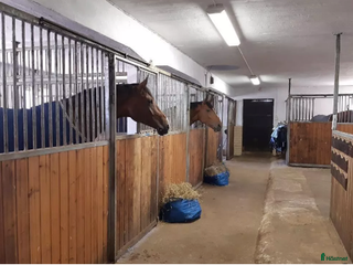 stallplats Boxplatser Helsingborg i Gantofta - Annons 23