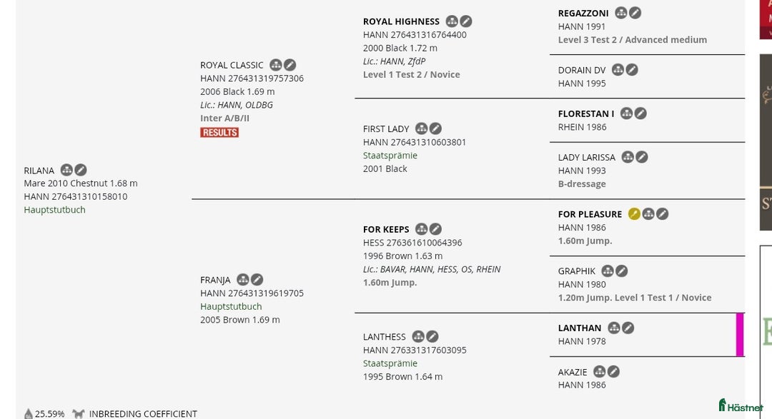 Allround hästar till salu: Mycket vackert stoföl E: Esmeraldo  i Surte - Annons 4