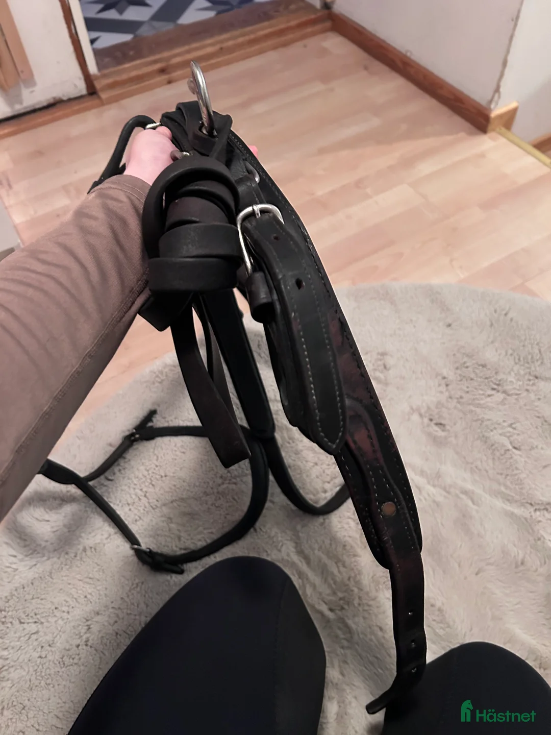 Travselar trav till salu: Remsele till ponny i Förslöv - Annons 3