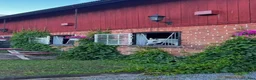  hästjobb finnes: Sommarjobb stall Uppsala - Annons 2
