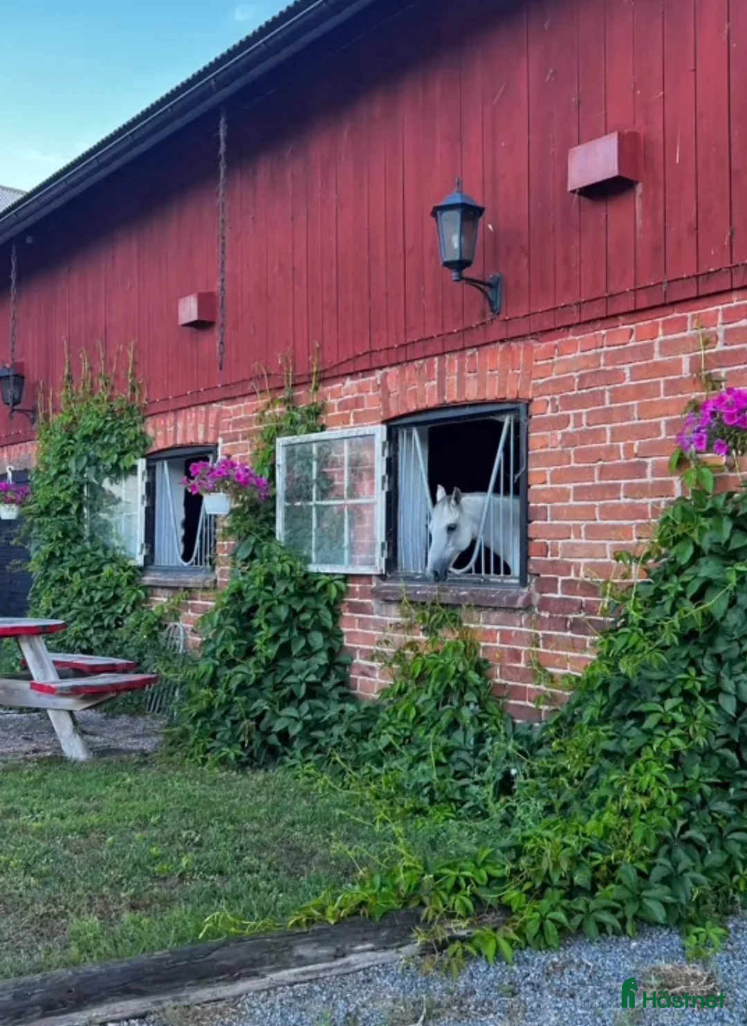  hästjobb finnes: Sommarjobb stall Uppsala - Annons 2