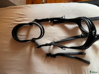 Träns hästutrustning till salu: Fint träns med lakknosgrimma i Indal - Annons 4