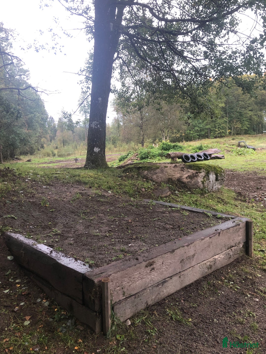  hästservice finnes: Ungdomsläger fälttävlan i Målsryd - Annons 10