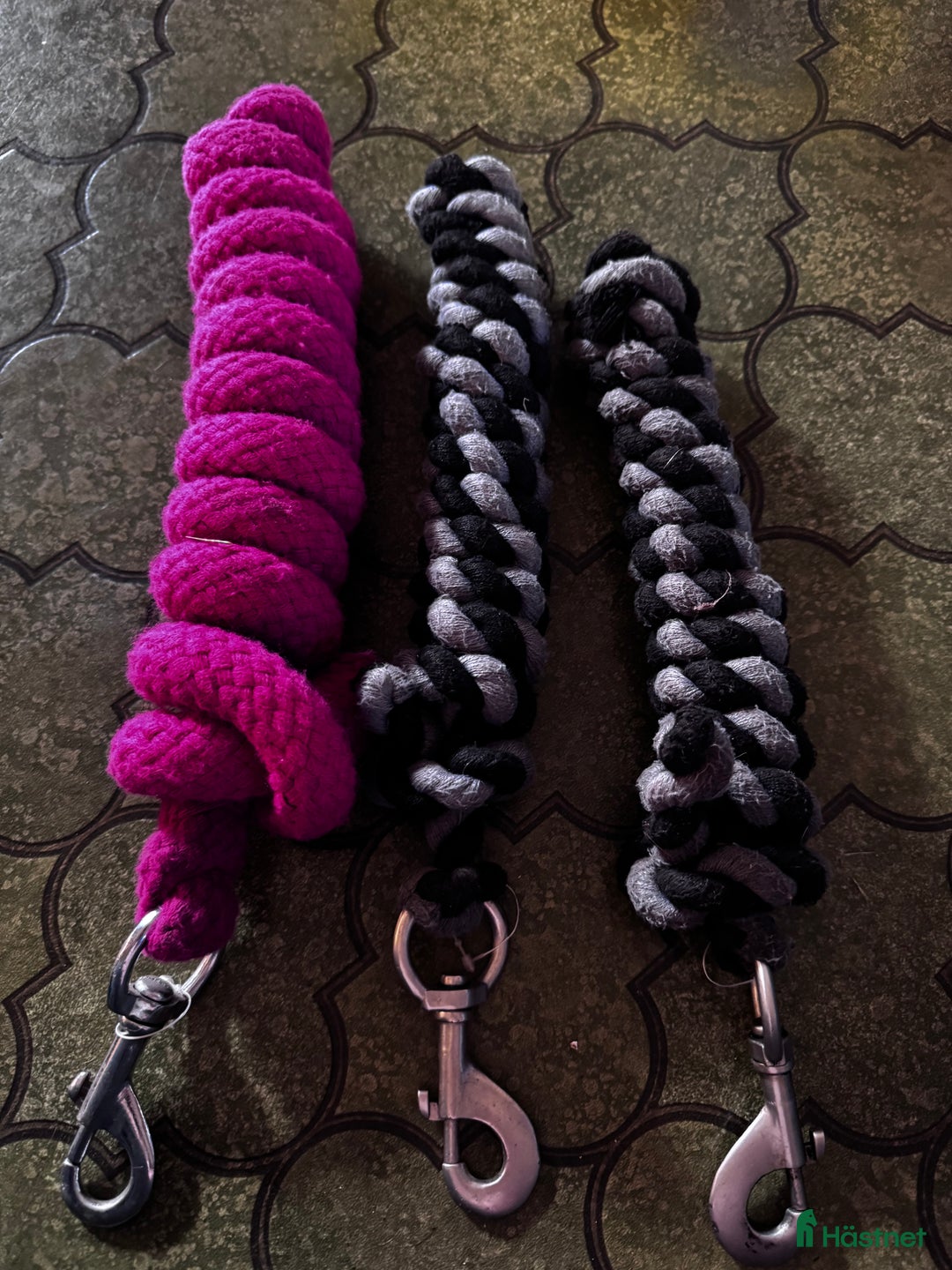 Övrig Hästutrustning hästutrustning till salu: Hästutrustning  i Kalmar - Annons 8