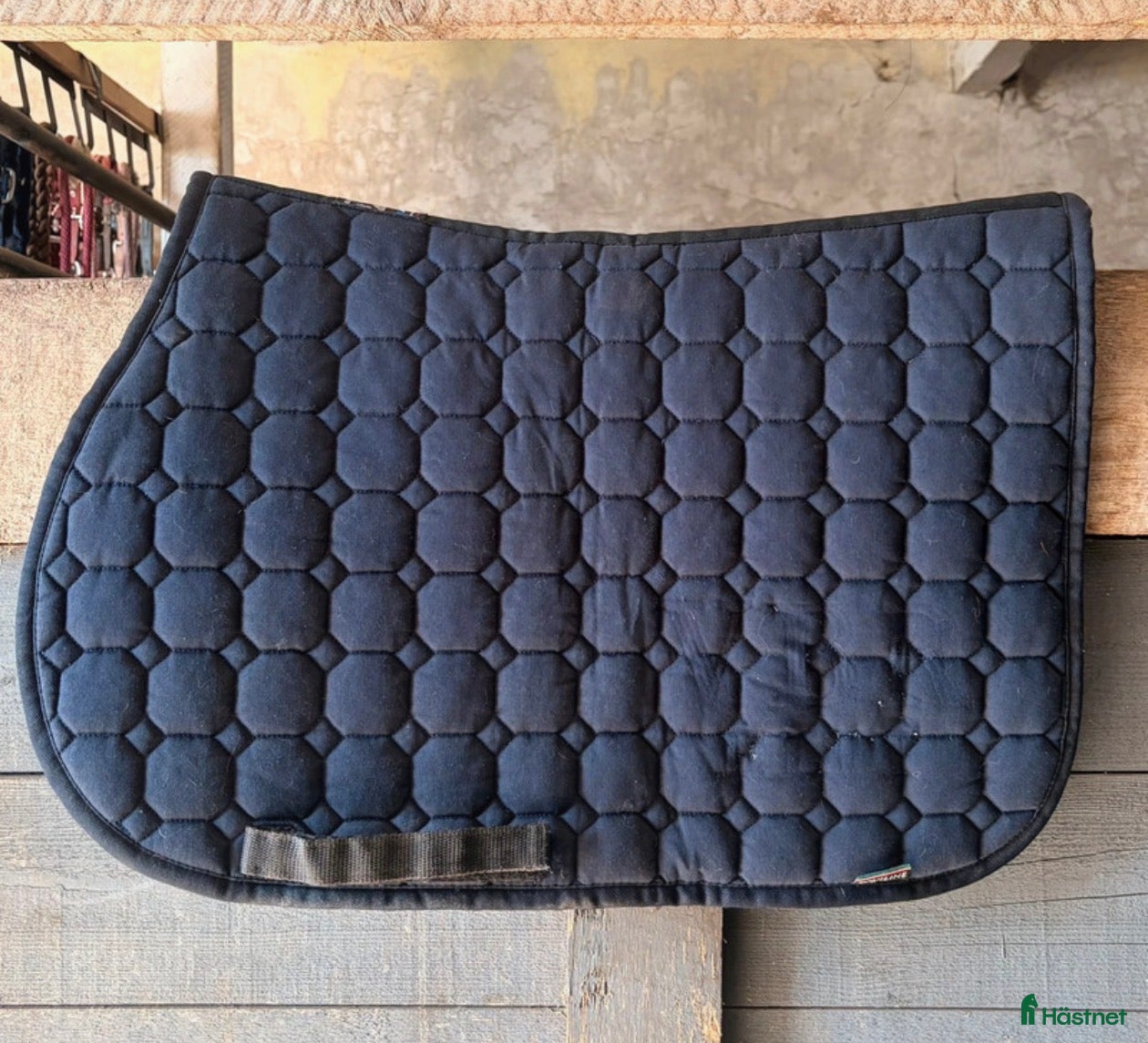 Schabrak & Vojlockar hästutrustning Equiline hoppschabrak till ponny - Annons 6