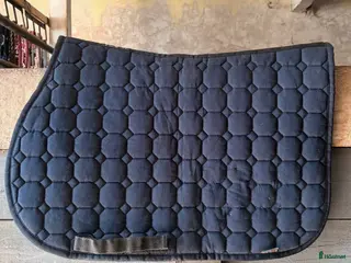 Schabrak & Vojlockar hästutrustning Equiline hoppschabrak till ponny - Annons 6