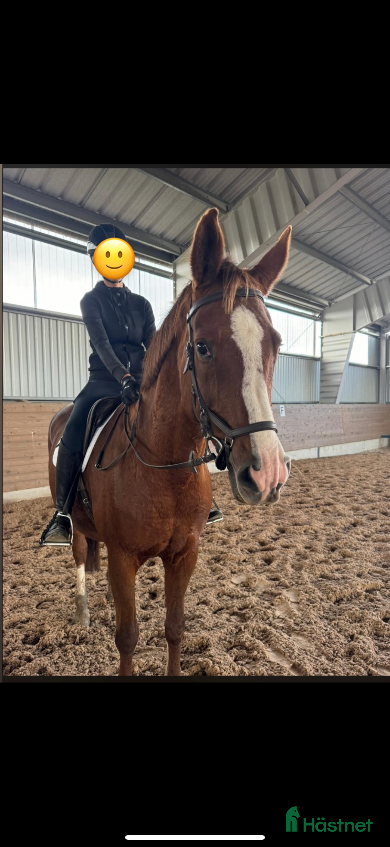  hästar Projekt säljes  i Ängelholm - Annons 16