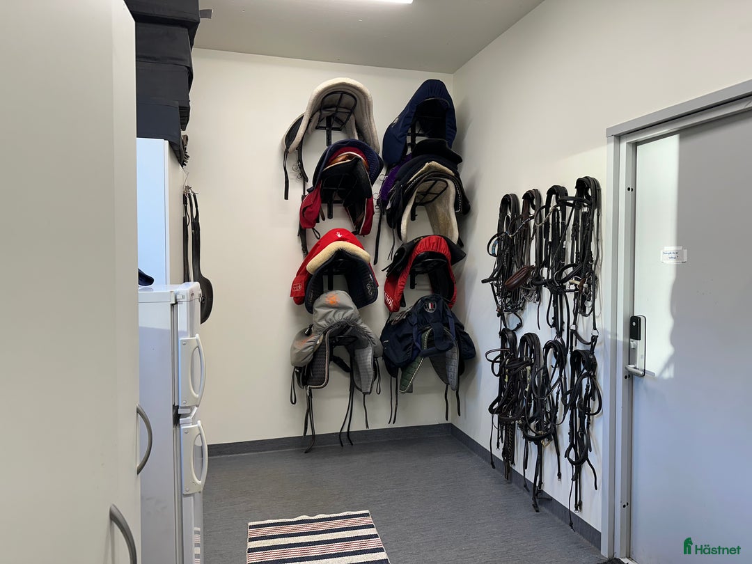  stallplats finnes: Boxplats med det mesta i Österhaninge - Annons 7