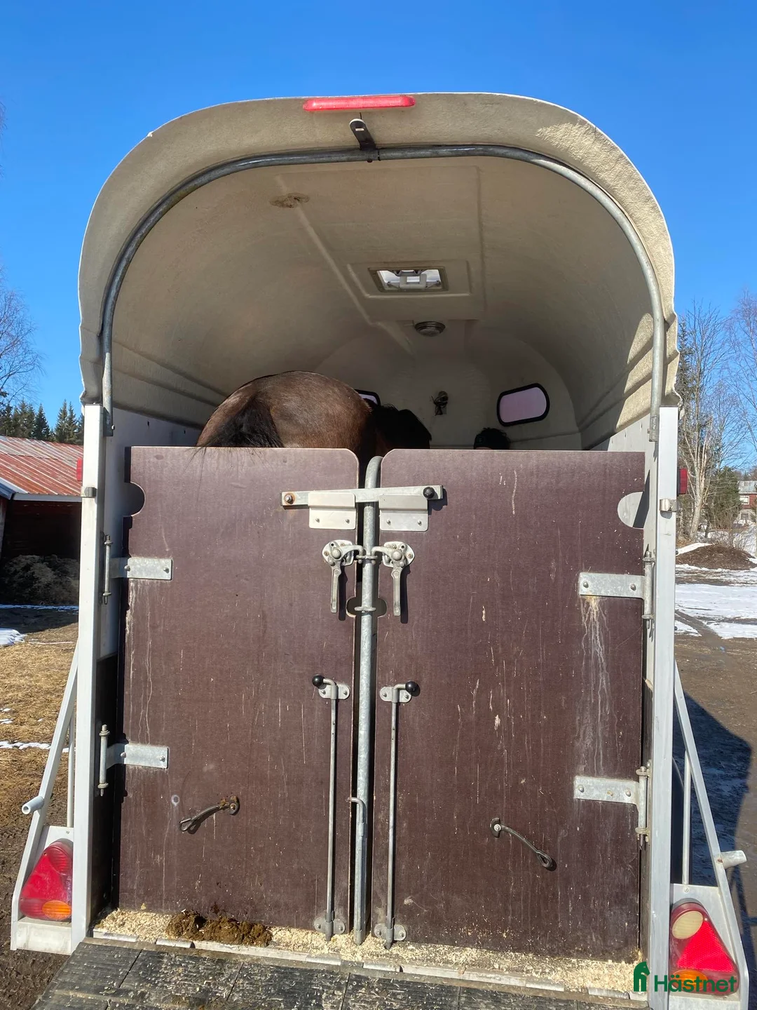 Hästtransporter  fordon & transport till salu: Bojsläp bravo (116) -06 - Annons 2