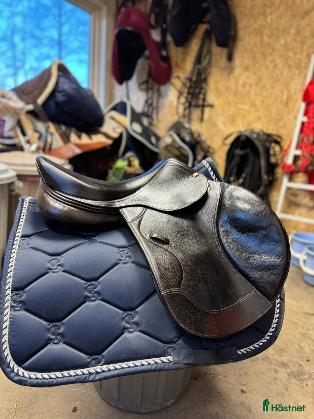 Sadlar hästutrustning till salu: Brun Lippo Allegria 17M i Jönköping - Annons 1