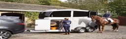 Hästtransporter  fordon & transport till salu: Ny - Ifor Williams HBX511 - Annons 12