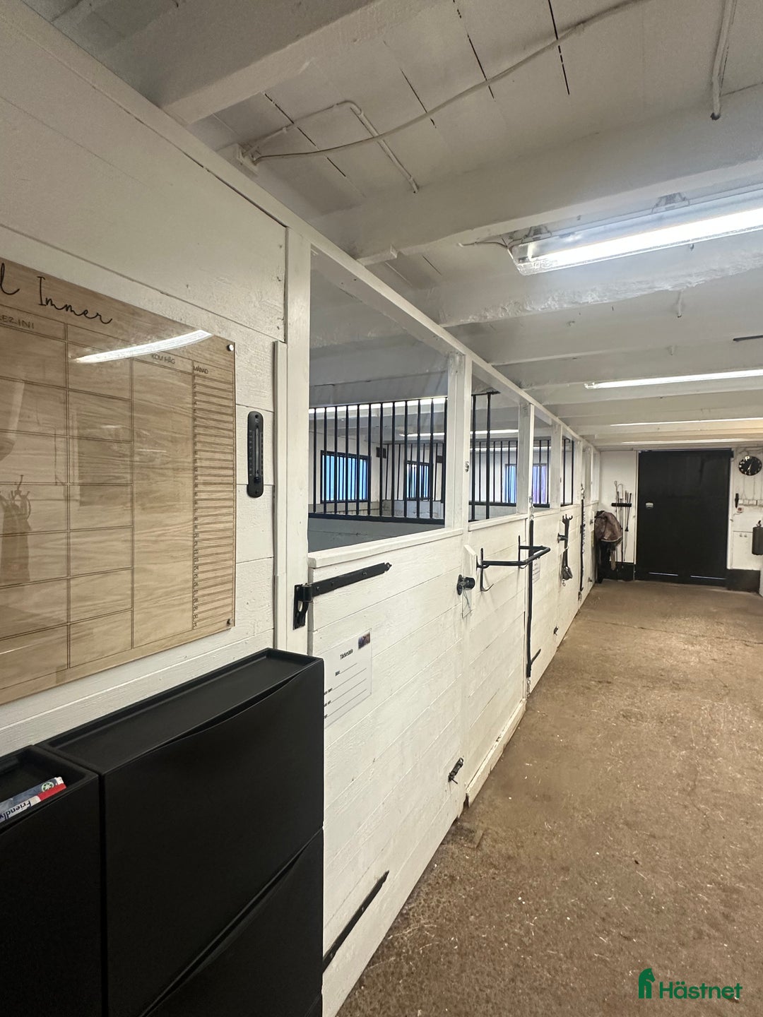  stallplats finnes: Plats i utebox storhäst i Vendelsö - Bild 6