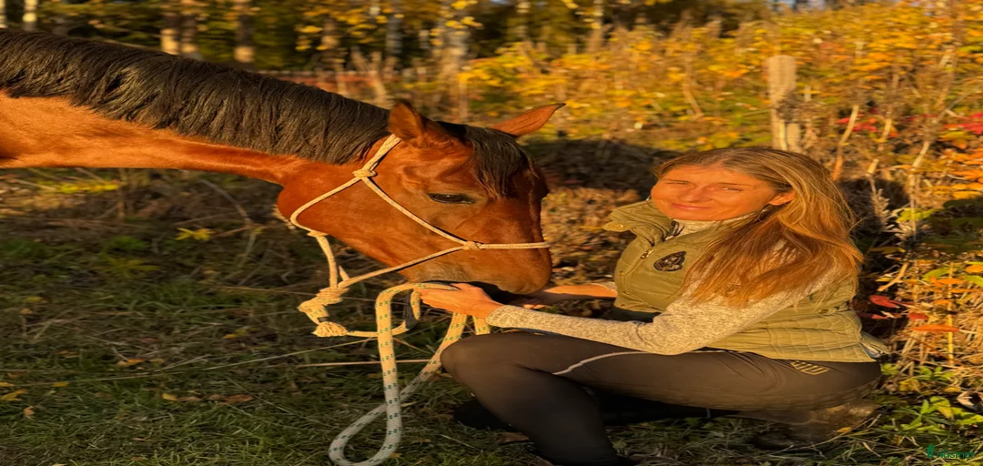 Galleribild {{count}}