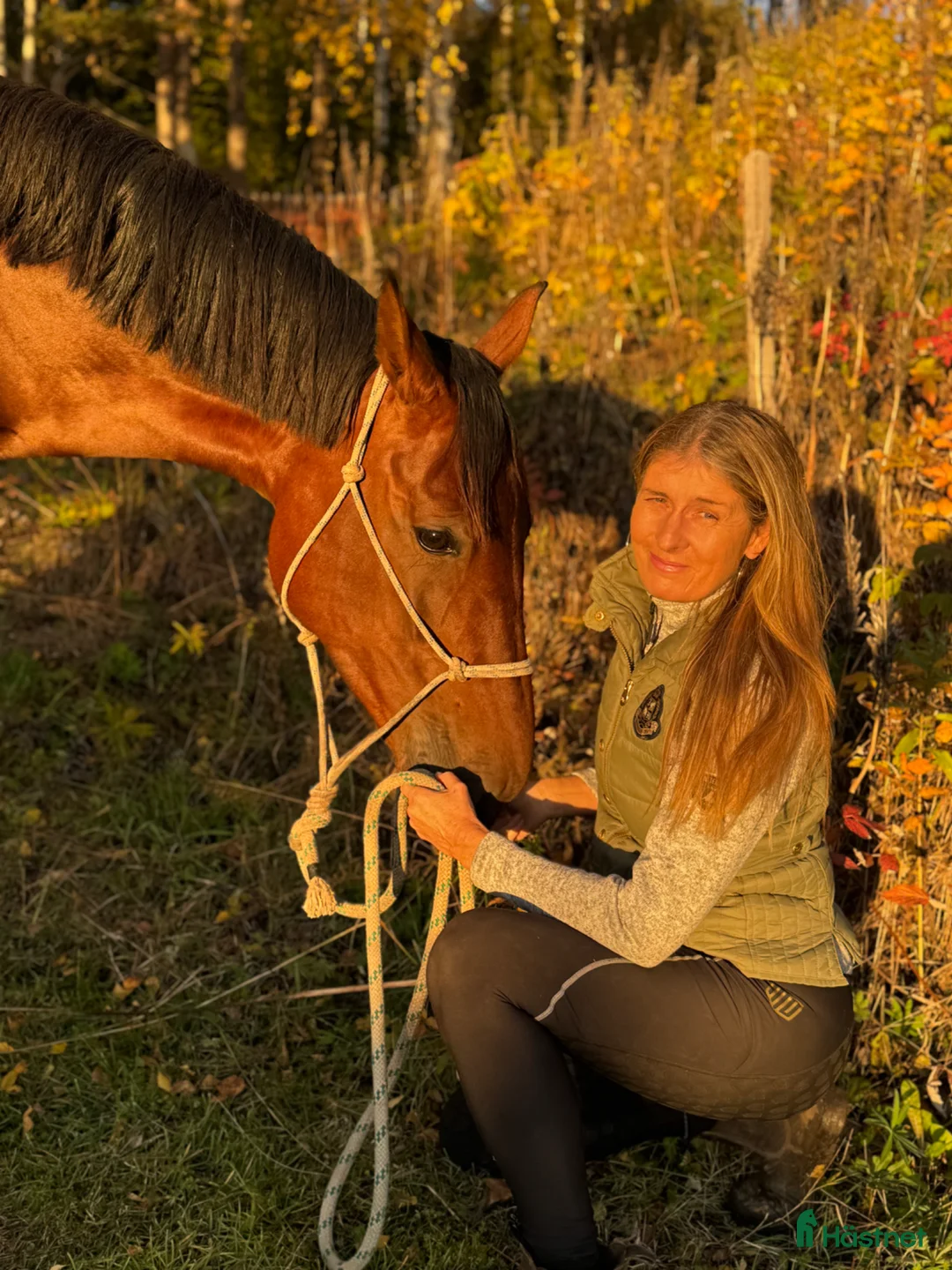 Galleribild {{count}}