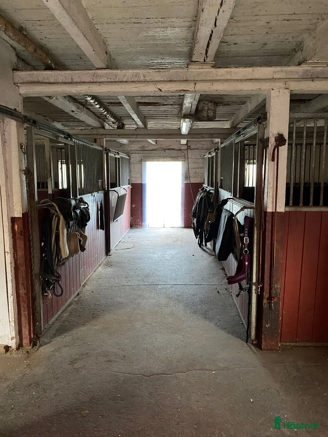  stallplats finnes: Ledig stallplats 1 september - Annons 2