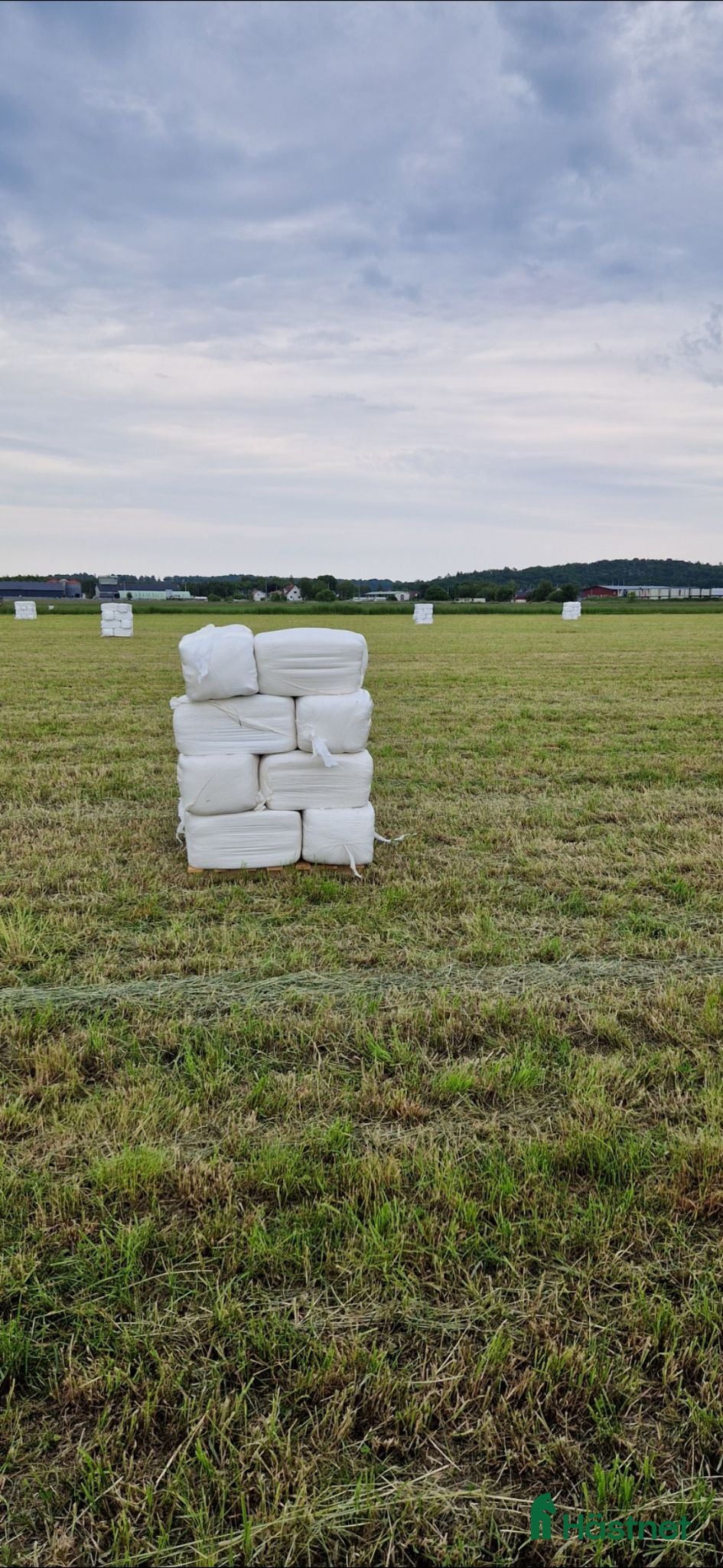 Övrig utrustning övrig utrustning till salu: Hösilage I småbal  - Annons 2