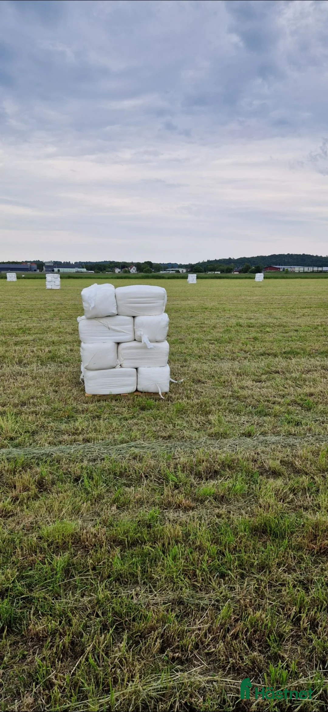 Övrig utrustning övrig utrustning till salu: Hösilage I småbal  i Fjärås - Annons 1