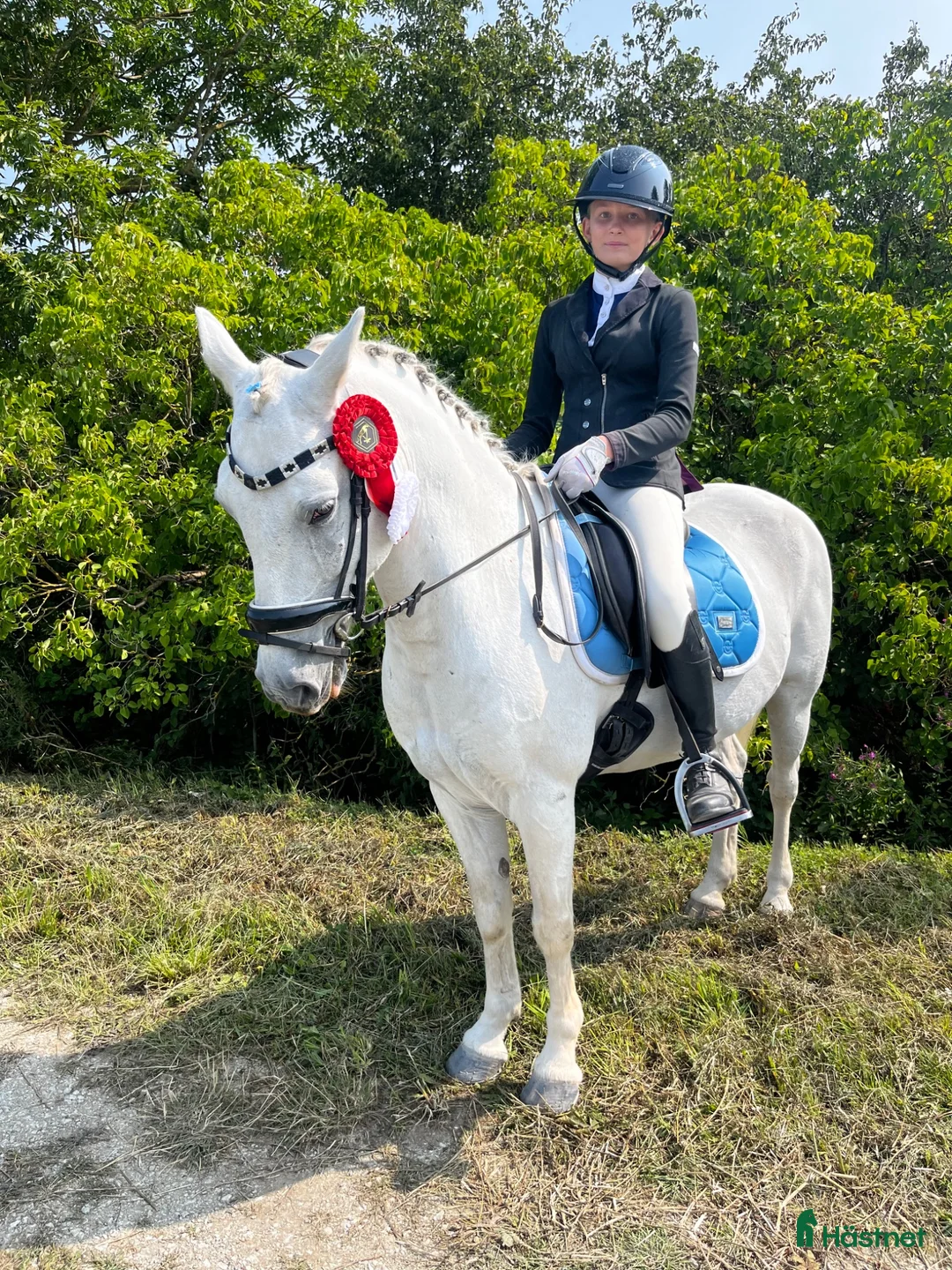 Allround hästar till salu: En ponny med mycke personlighet och charm!  - Annons 2