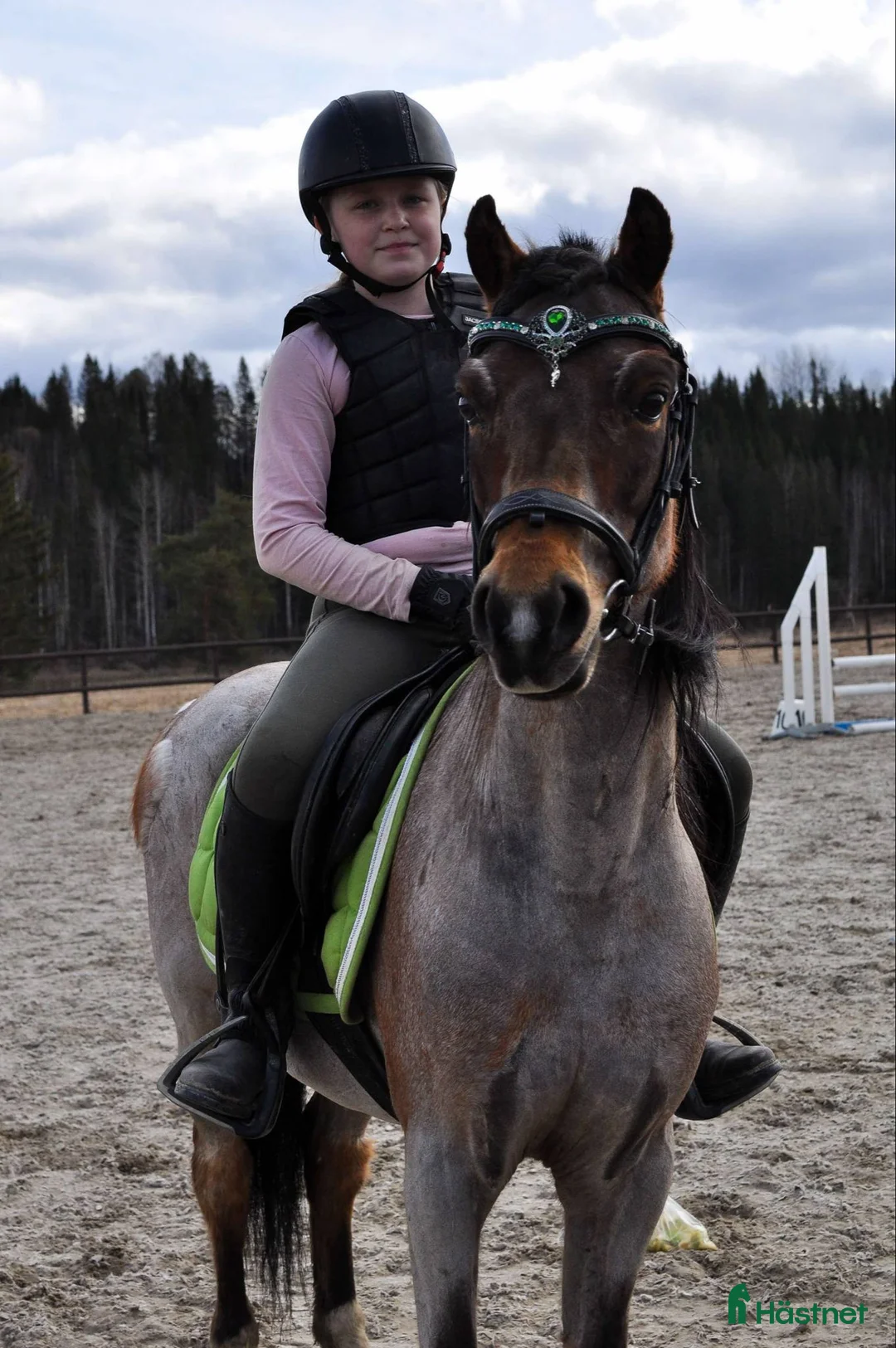Allround hästar till salu: Drömponnyn perfekta barnponny med enorm kapacitet  - Annons 3