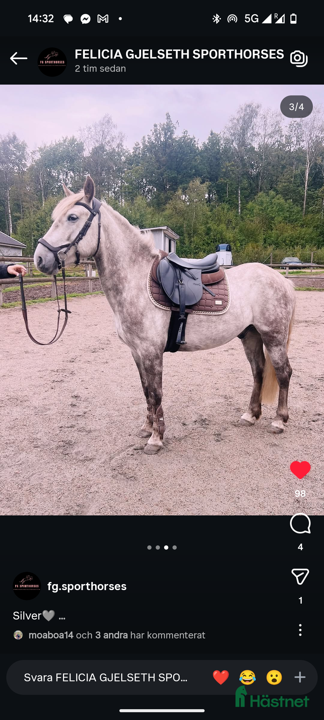 Hoppning hästar till salu: Super cool ungponny 🌟 i Uddevalla - Annons 2