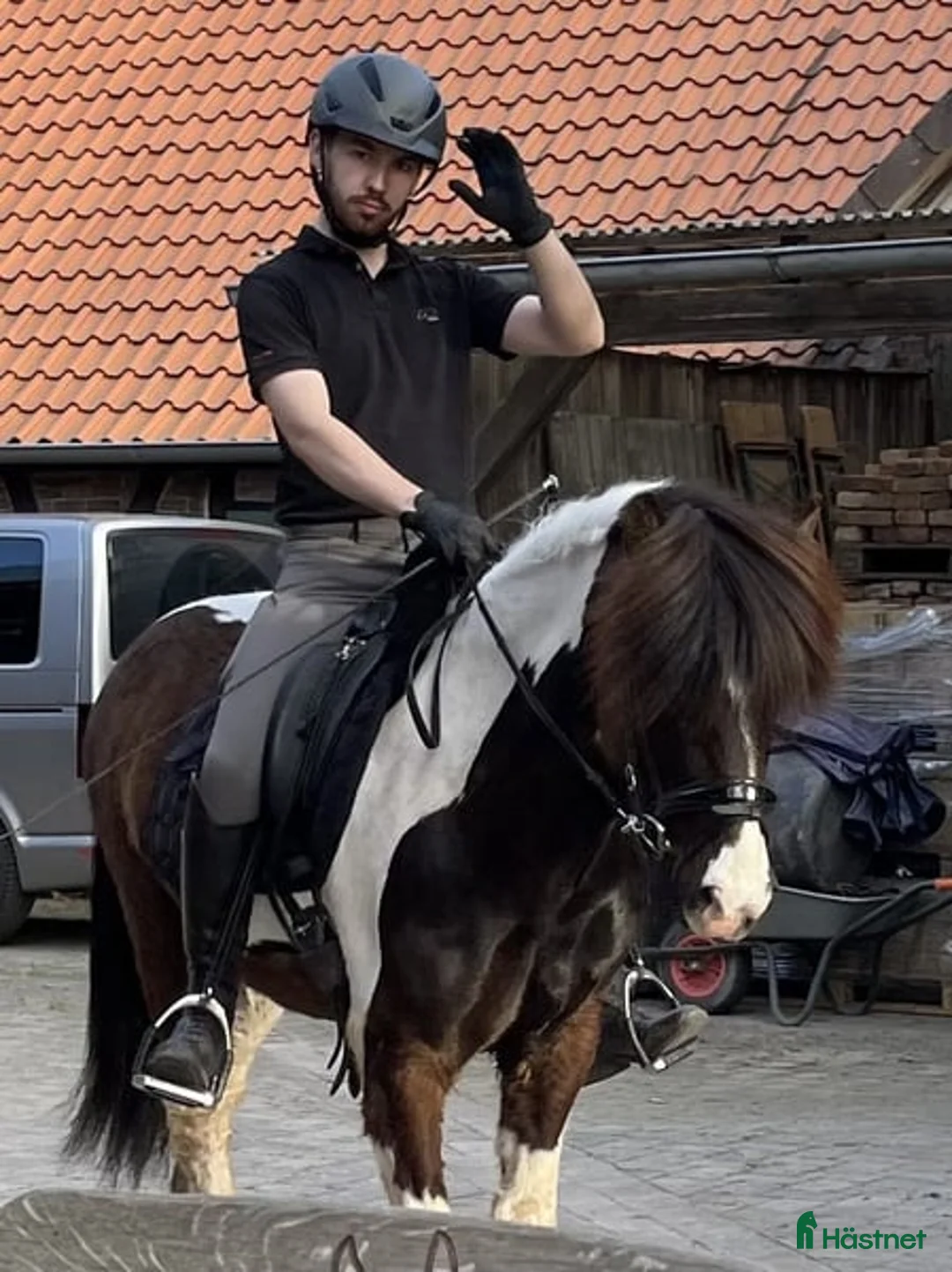 Dressyr hästar till salu: Vacker islandshäst, valack i Stockholm - Annons 1