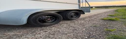 Hästtransporter  fordon & transport till salu: 600kg lastvikt på B-kort dubbla sadelkammare - Annons 8