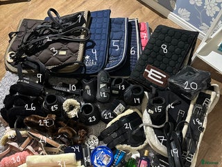 Övrig Hästutrustning hästutrustning till salu: Diverse hästutrustning i Uddevalla - Annons 16