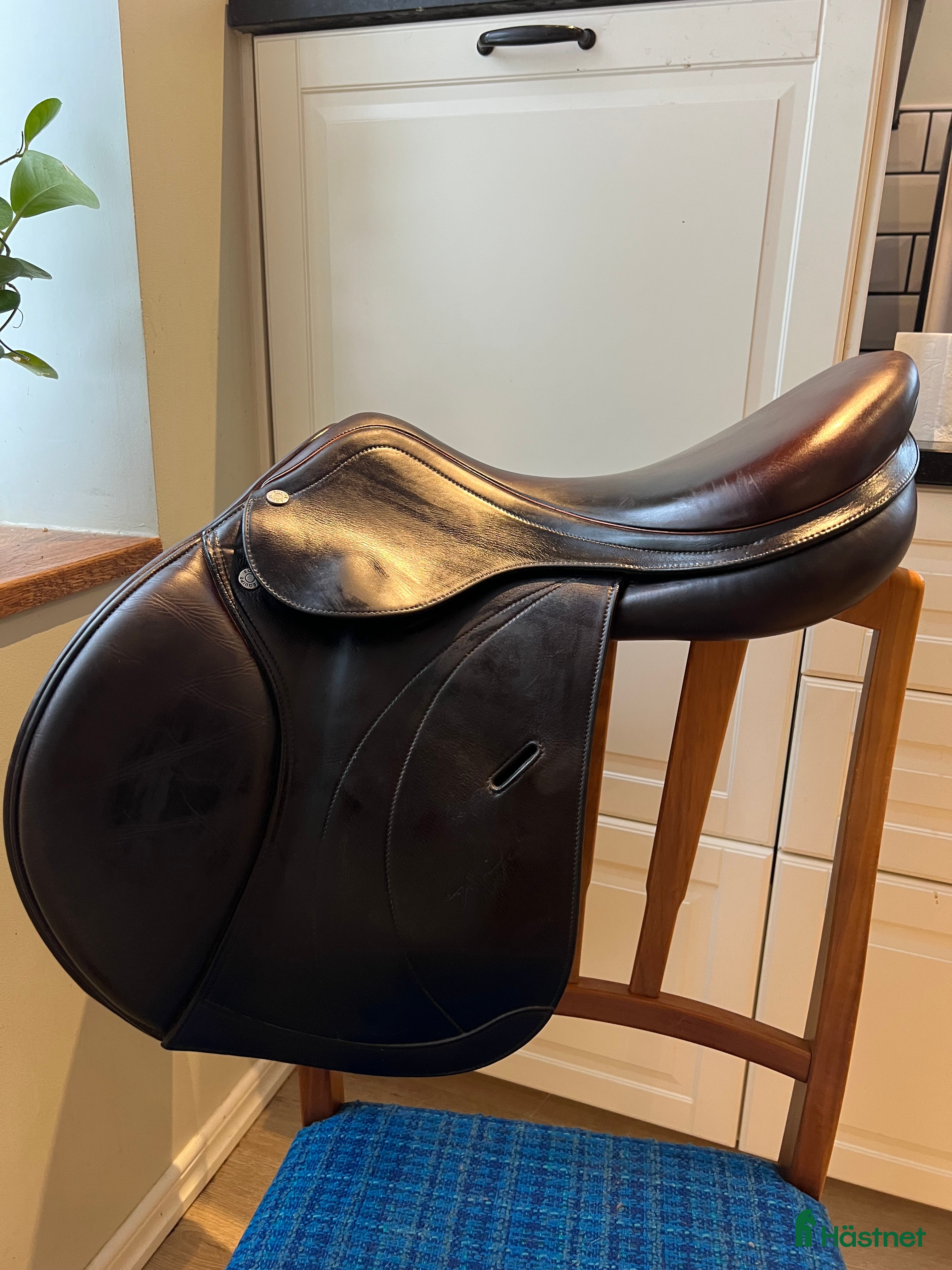 Sadlar hästutrustning Equipe Expression Special 17 tum  - Annons 1