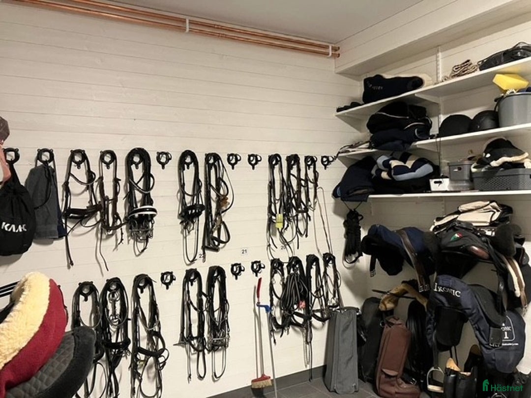  stallplats finnes: Ledig plats i Vallentuna i Vallentuna - Annons 6